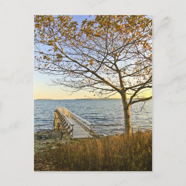 Carte Postale Baigné de lumière dorée (Devant)