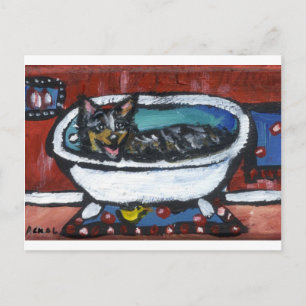 Carte Postale Bain de chien de bétail australien