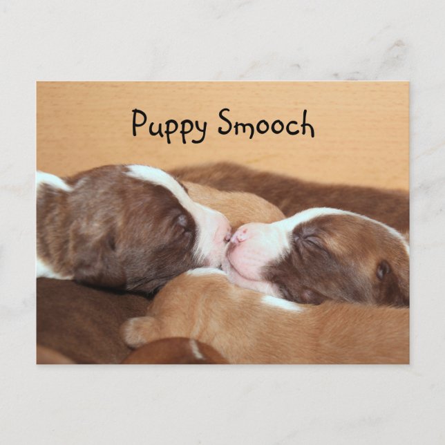 Carte Postale Baiser de chiot (Devant)