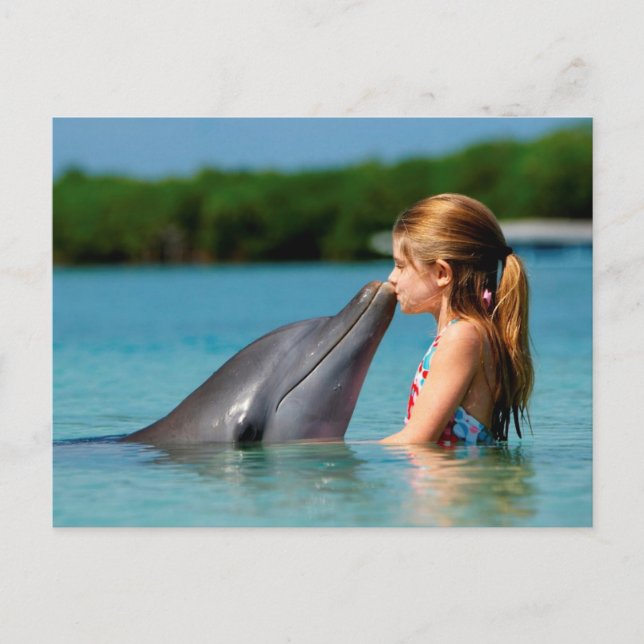 Carte Postale Baiser de dauphin (Devant)