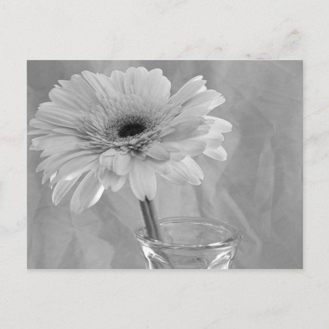 Carte Postale Baisy noir et blanc (Devant)