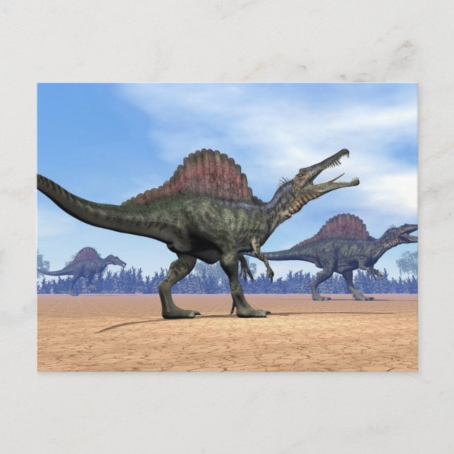 Carte Postale Balade des dinosaures de Spinosaurus - rendu 3D (Devant)