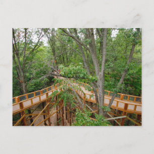 Carte Postale Balade en canopée, Blacklick Woods Metro Park, Ohi
