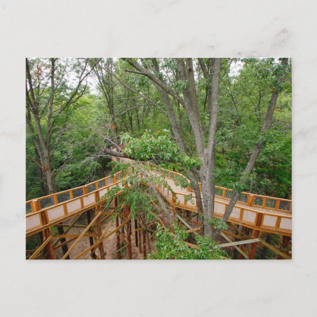 Carte Postale Balade en canopée, Blacklick Woods Metro Park, Ohi (Devant)