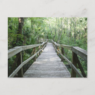 Carte Postale Balade paisible