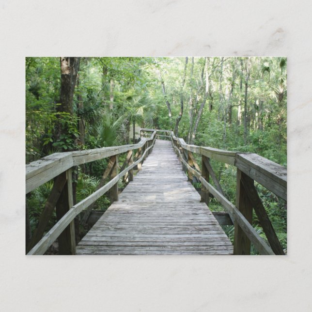 Carte Postale Balade paisible (Devant)