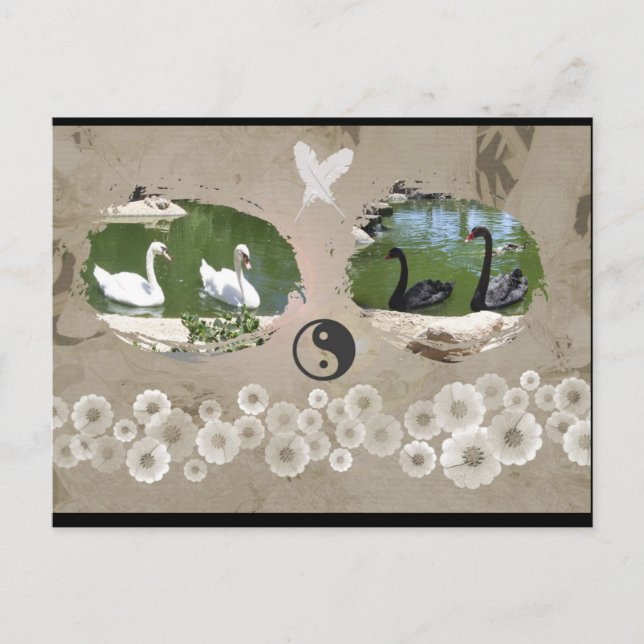 Carte postale Balance des cygnes (Devant)