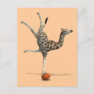 Carte Postale Balancing Giraffe