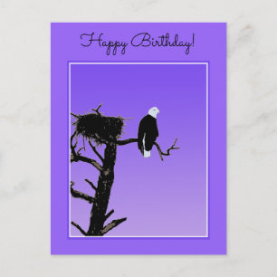 Carte Postale Bald Eagle at Sunset - Art original de la faune
