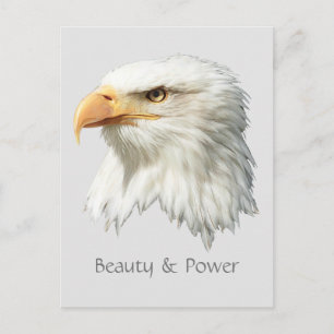 Carte Postale Bald Eagle Beauté & Puissance personnalisable