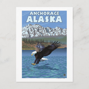 Carte Postale Bald Eagle Diving - Anchorage, Alaska