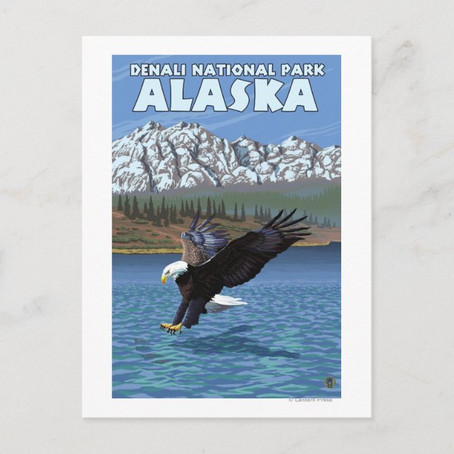 Carte Postale Bald Eagle Diving - Denali National Park, Alaska (Devant)