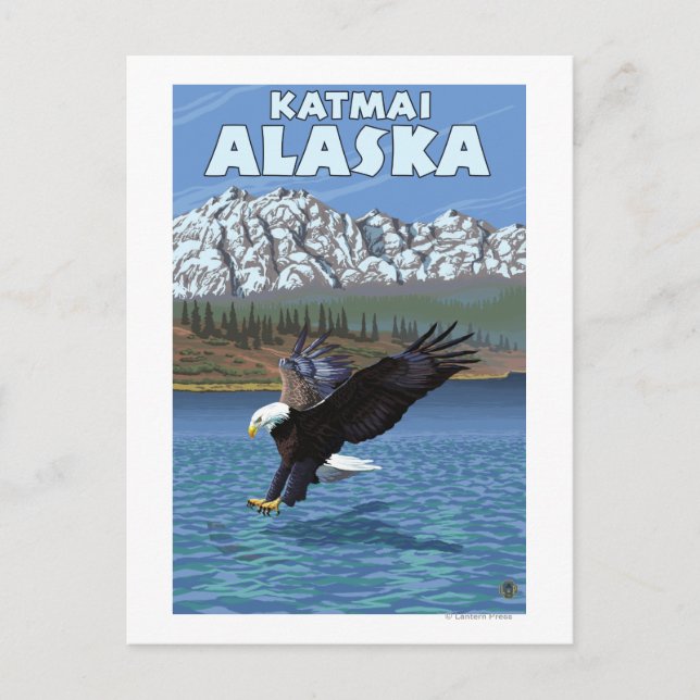 Carte Postale Bald Eagle Diving - Katmai, Alaska (Devant)