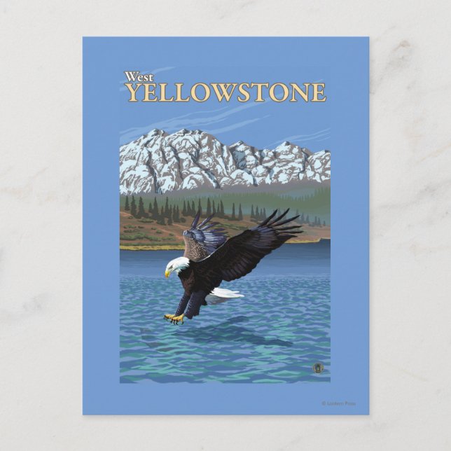 Carte Postale Bald Eagle Diving - West Yellowstone, MT (Devant)