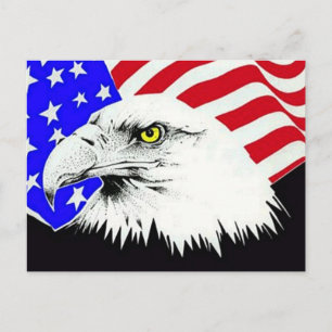 Carte postale Bald Eagle et American Flag