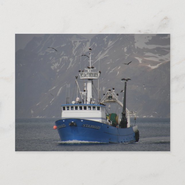 Carte Postale Bald Eagles Accueillir Starward Home (Devant)