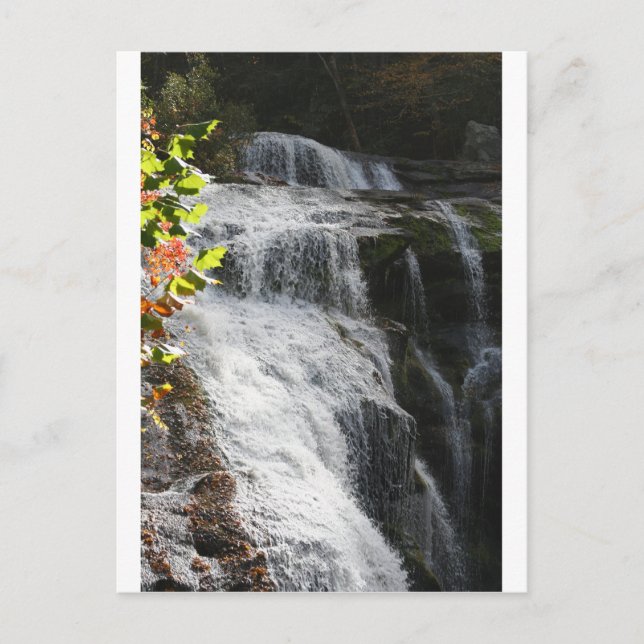 Carte Postale Bald River Falls-Tellico Plains, TN (Devant)