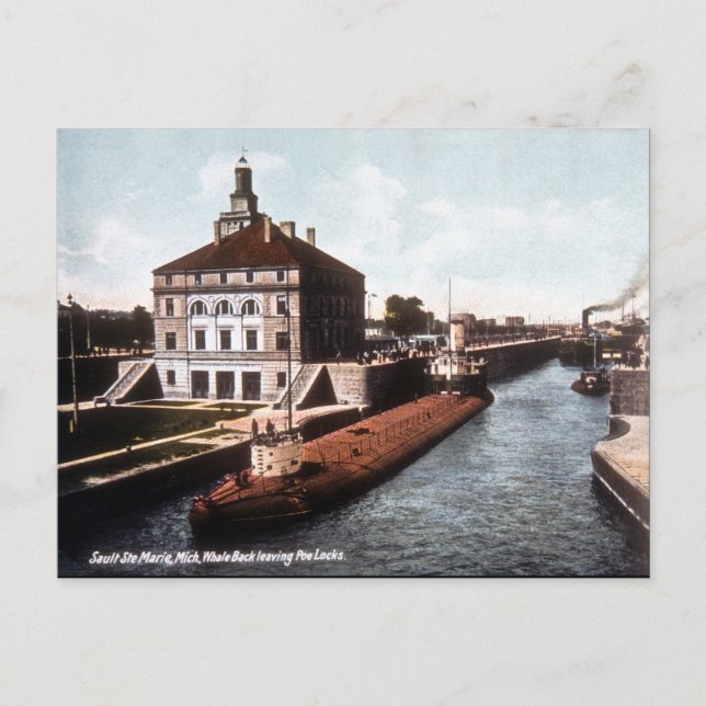 Carte Postale Baleback à Sault - Vintage (Devant)