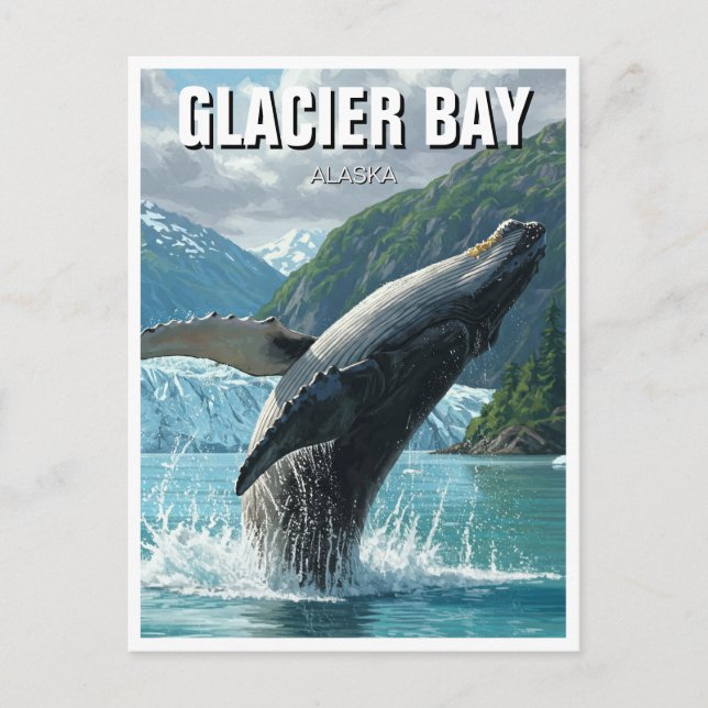 Carte Postale Baleine à bosse de la baie Glacier Balayage Alaska (Devant)