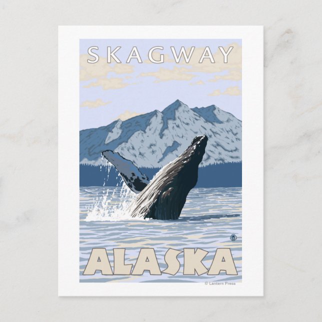 Carte Postale Baleine à bosse - Skagway, Alaska (Devant)