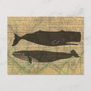 Carte Postale Baleine antique Vie marine