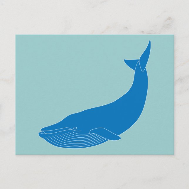 Carte Postale Baleine bleue Mammifères marins Faune Océans (Devant)