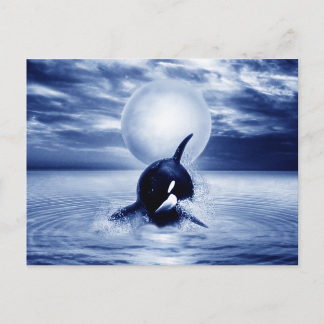 Carte Postale Baleine et lune en 2012 (Devant)