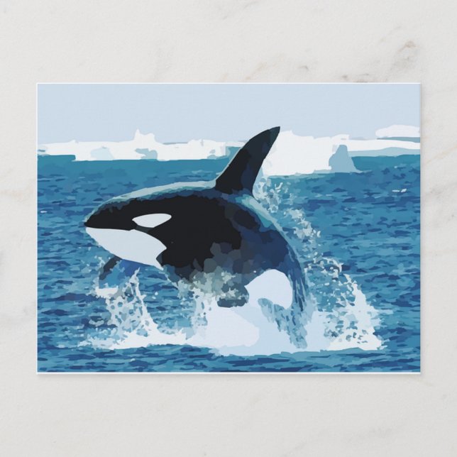 Carte Postale Baleine Orca Eau Animal Mer Océan Poisson Paix Amo (Devant)