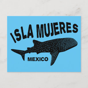 Carte Postale Baleine Requin Plongée sous-marine   Isla Mujeres