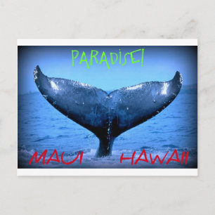 CARTE POSTALE BALEINE TAIL MAUI PARADISE HAWAII