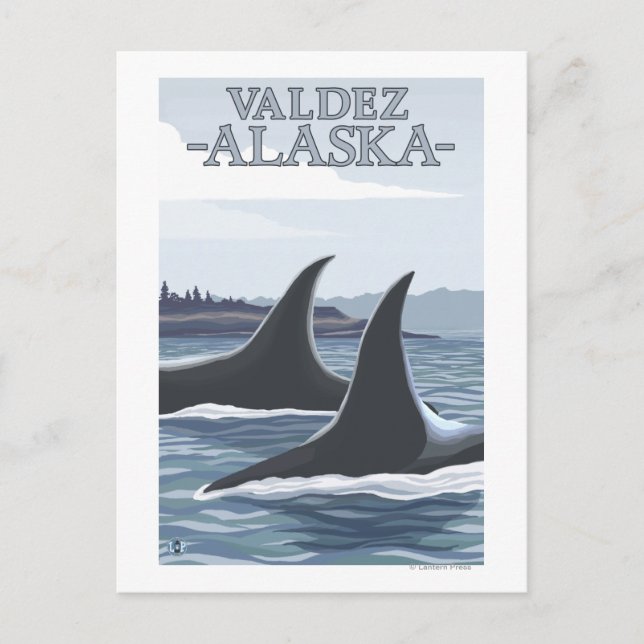 Carte Postale Baleines #1 - Valdez, Alaska d'orque (Devant)