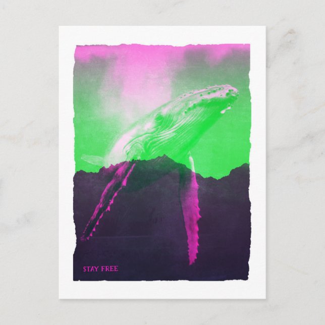 Carte Postale Baleines Rester Gratuit (Devant)