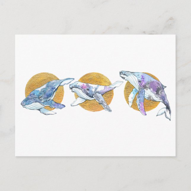 Carte Postale Baleines Trio flottent et rêvent A (Devant)