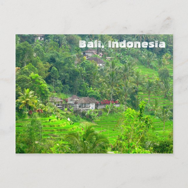 Carte Postale Bali, Indonésie (Devant)