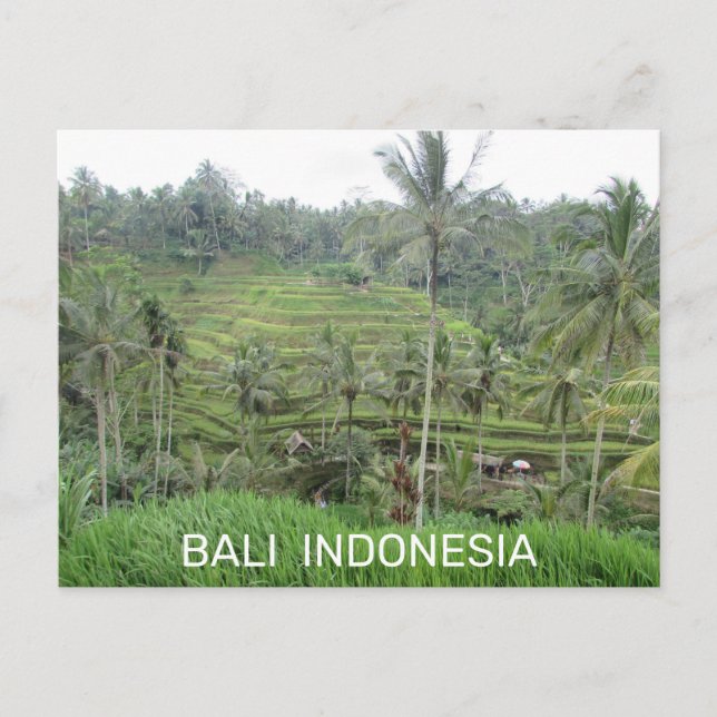 Carte postale Bali Indonésie (Devant)
