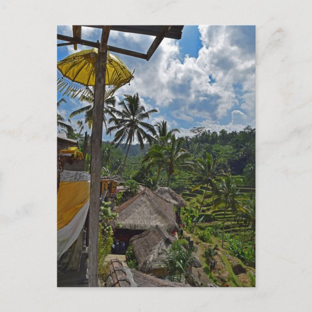 Carte Postale Bali Indonésie Champs de riz en terrasse (Devant)
