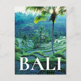 Carte Postale Bali Vue d'ensemble des rizières