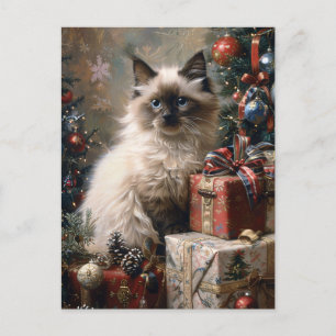 Carte Postale Balinais Kitten Noël Portrait de chat