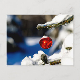 Carte Postale Balle de Noël Rouge, Jour du soleil