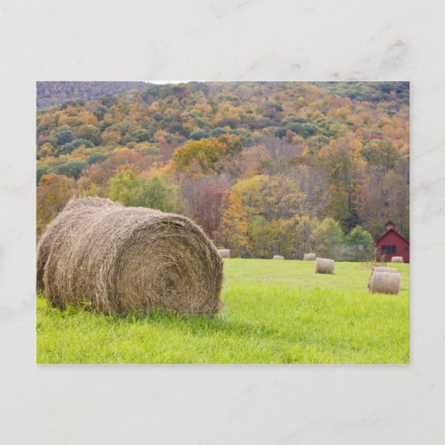 Carte Postale Balles de foin et feuillage de chute à la ferme, (Devant)