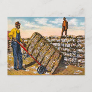 Carte Postale Balles en coton dans le sud profond des années 192