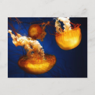 Carte postale Ballon sous-marin