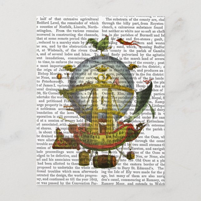 Carte Postale Ballons à air chaud Minerve (Devant)