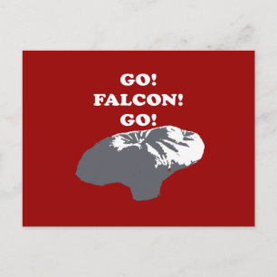 Carte Postale Balloon Boy - Go Falcon Go