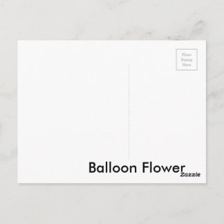 Carte Postale Balloon Flower