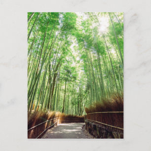 Carte Postale Bamboo Grove   Arashiyama, Kyoto, Japon