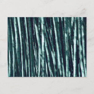 Carte Postale Bambou