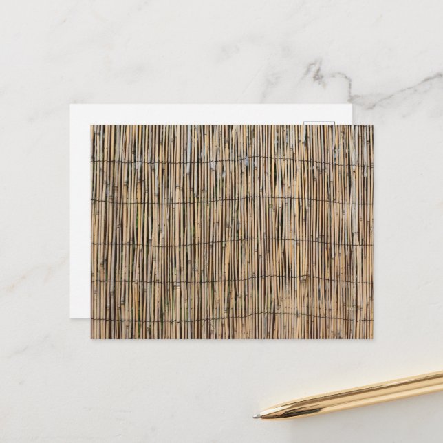 Carte Postale Bambou (Devant/Arrière en situation)