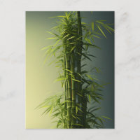 Bambou naturel chanceux