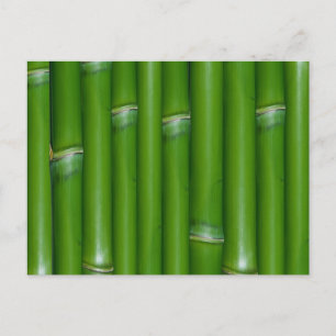 Carte Postale Bambou vert